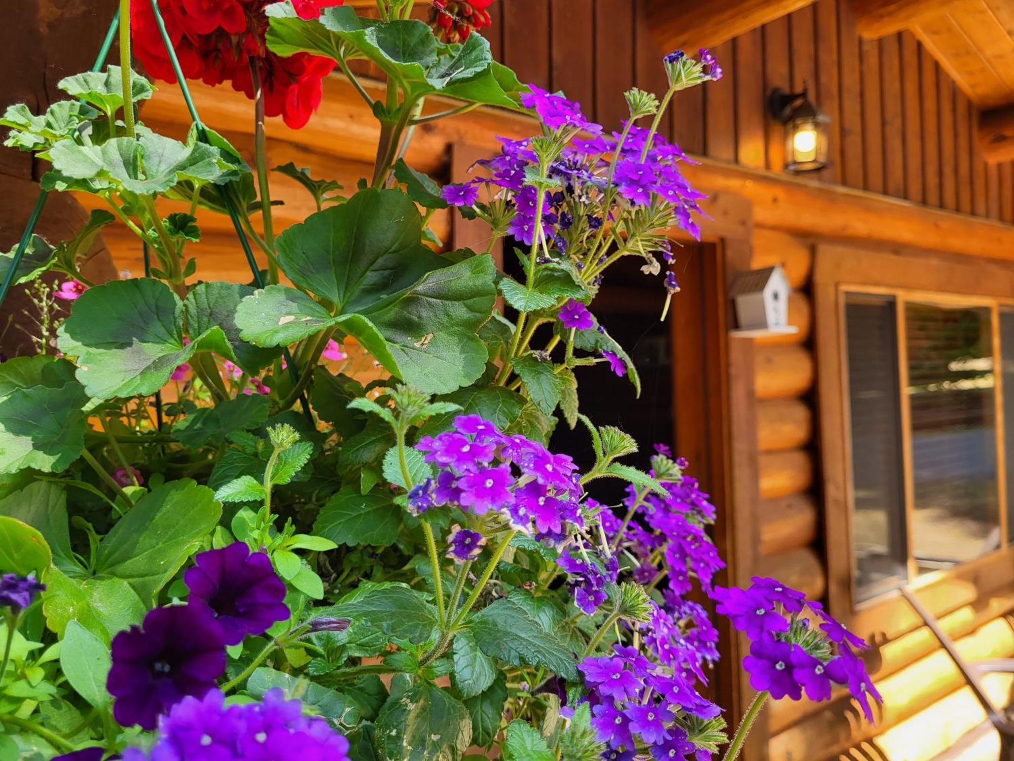 Riverbend Cottage & Rv Resort Parksville Kültér fotó